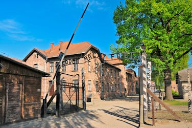 Visita guiada por Auschwitz-Birkenau com almoço e transporte para buscar em Cracóvia